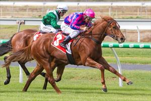 Flirt continues O'Brien fillies' domination